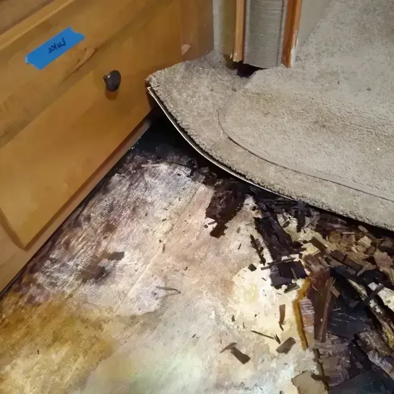 Best Wood Floor Water Damage Service in Mississippi County, MO